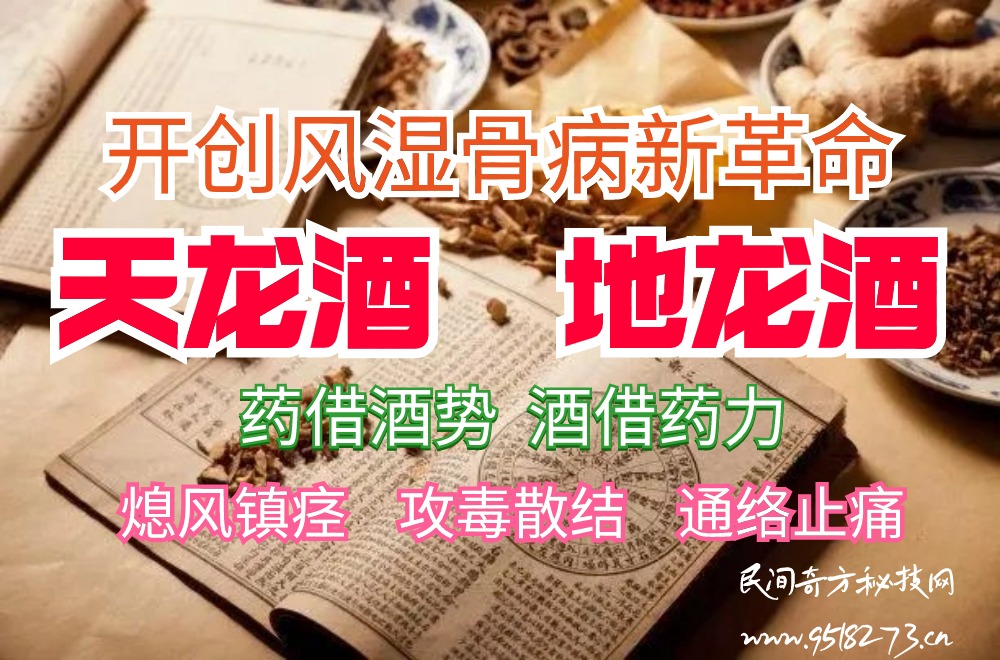 天龙酒、地龙酒——开创风湿骨病新革命