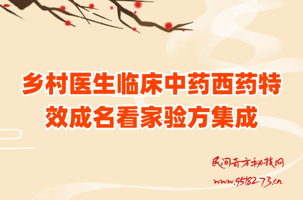 乡村医生临床中药西药特效成名看家验方集成