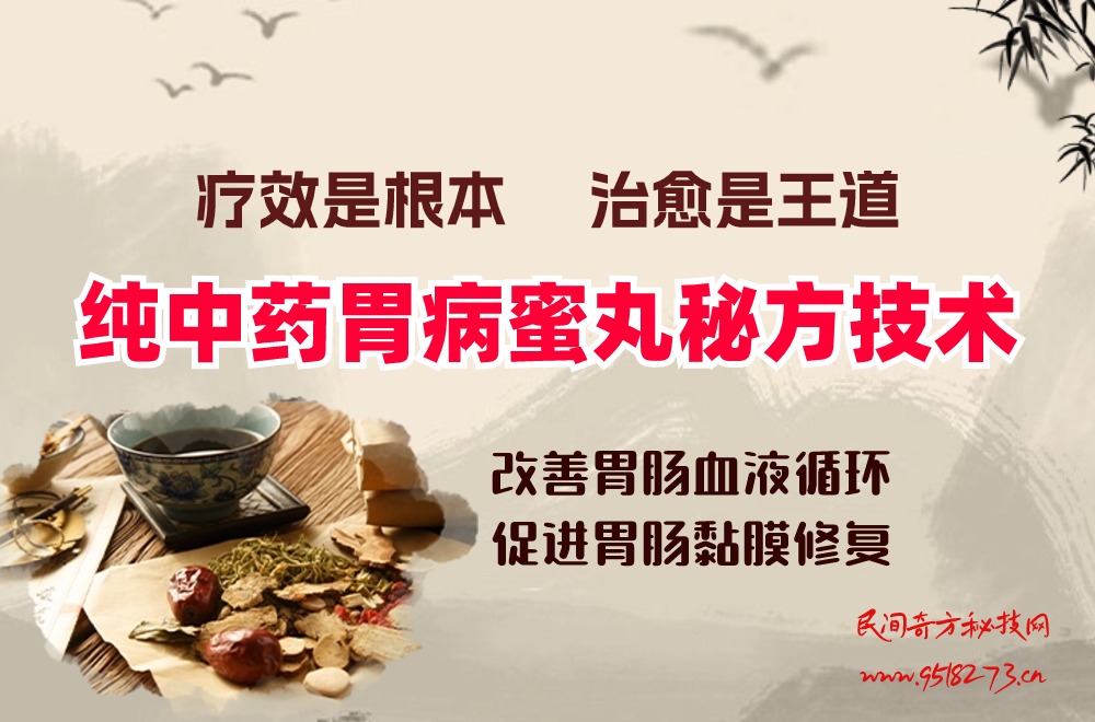 纯中药胃病蜜丸