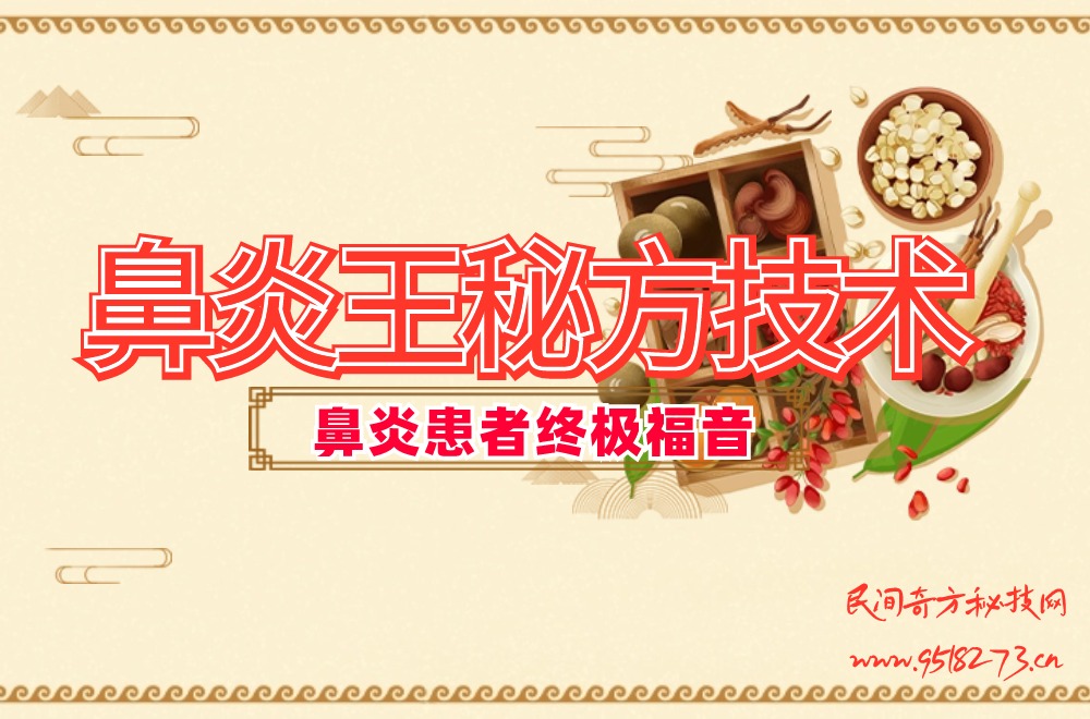 鼻炎王秘方技术