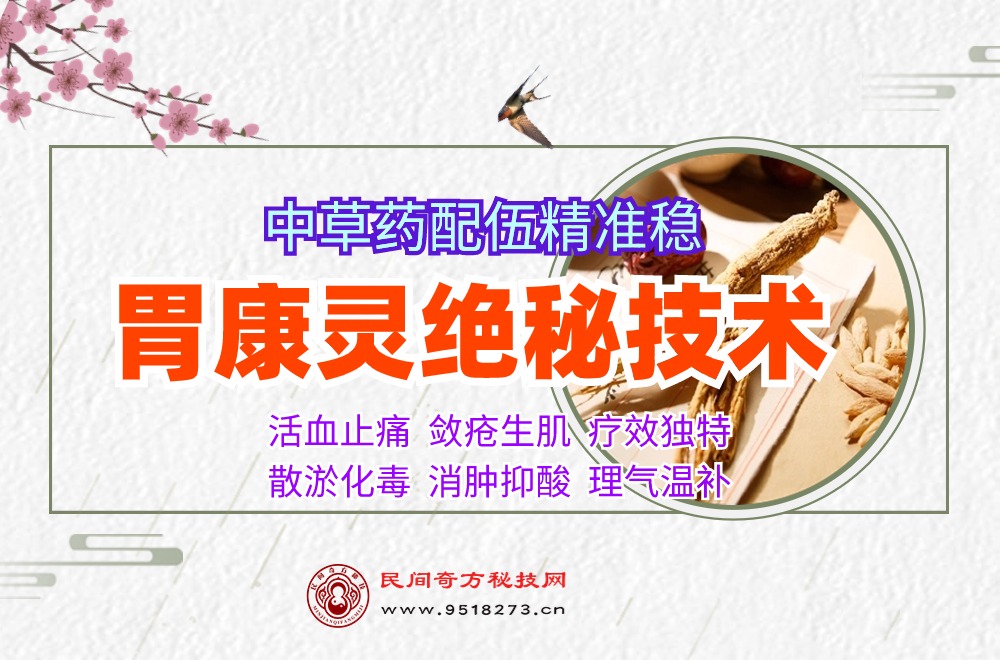 胃康灵绝秘技术~打造你的胃病专科