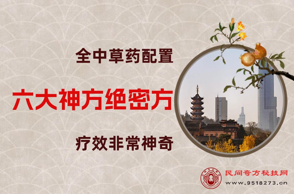 六大神方绝密方