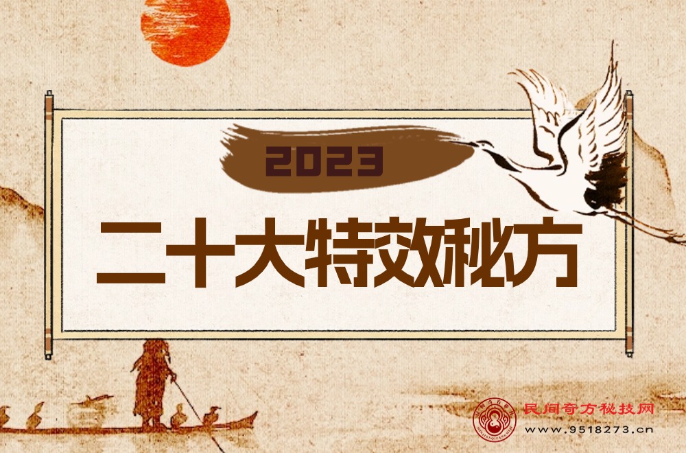 2023 年二十大特效秘方