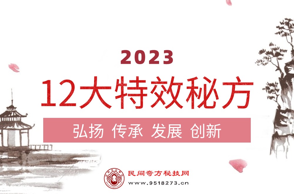 2023年12大特效秘方
