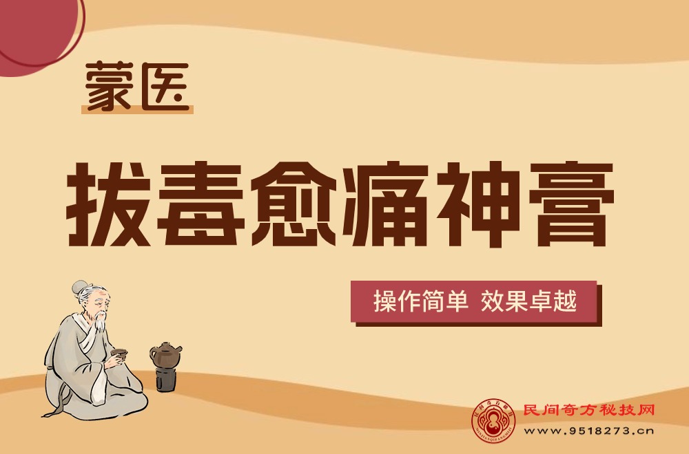 蒙医拔毒愈痛神膏