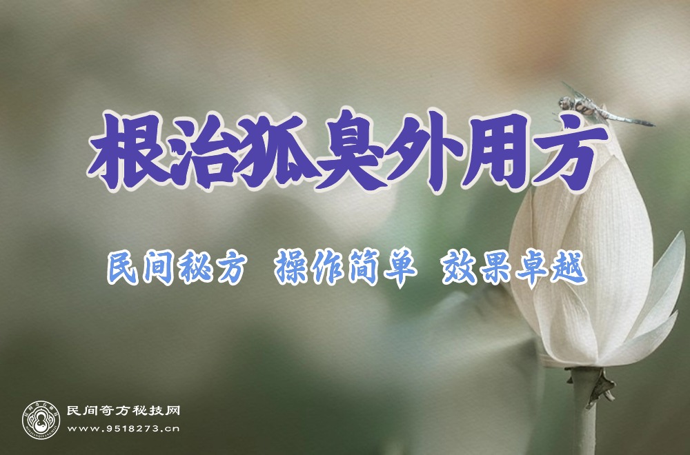 根治狐臭外用方